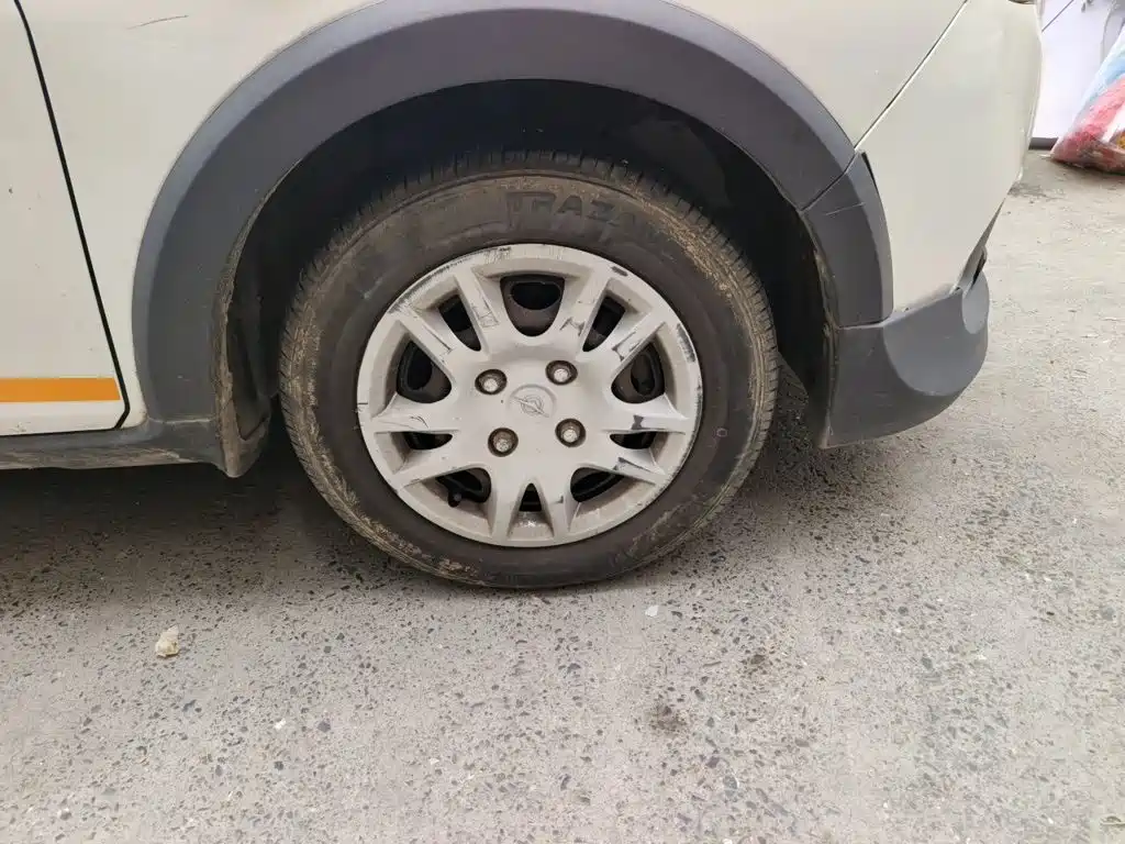 Haima Cowin — миниатюра 8