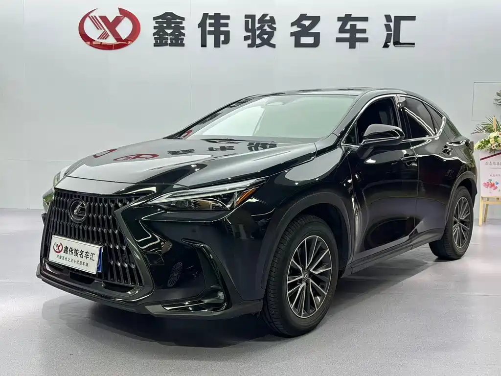 Lexus NX 2023 260