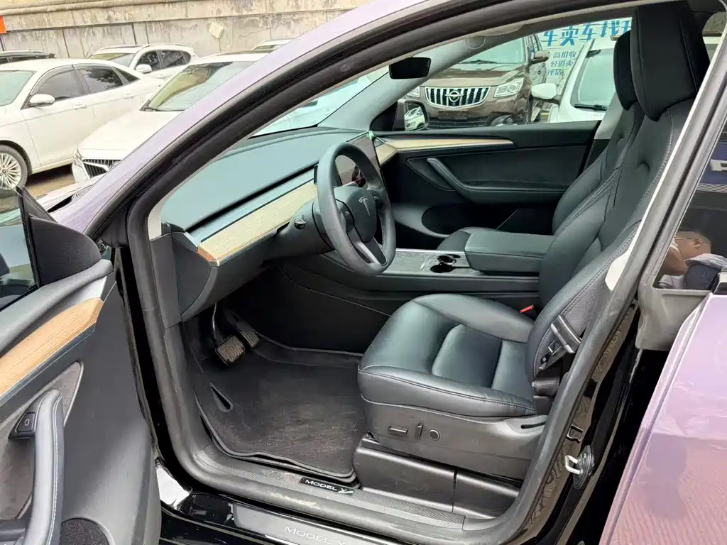 Tesla Model Y — миниатюра 5