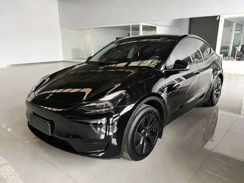 Tesla Model Y — миниатюра 2