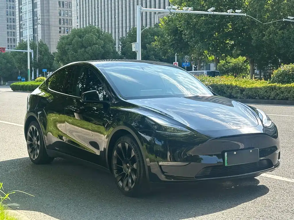 Tesla Model Y — миниатюра 3