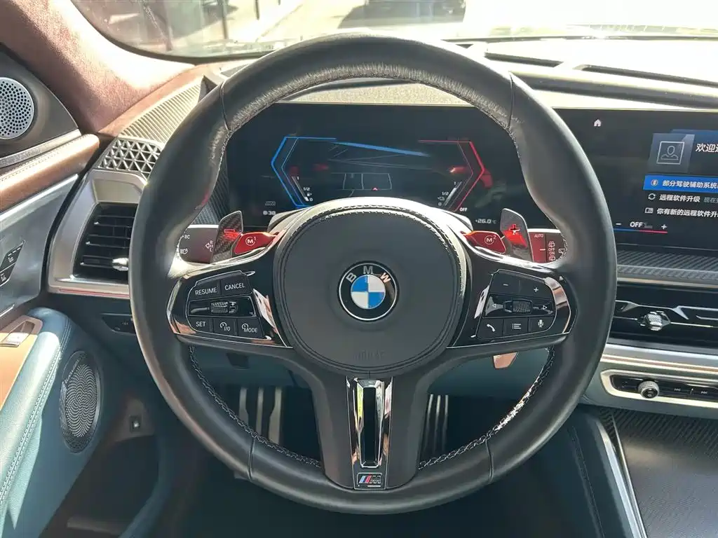 BMW XM — миниатюра 10