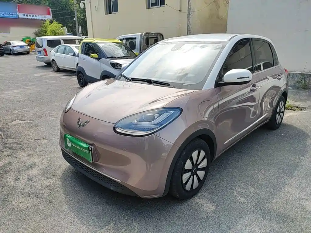 Wuling Binguo