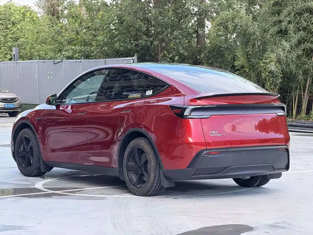 Tesla Model Y — миниатюра 11