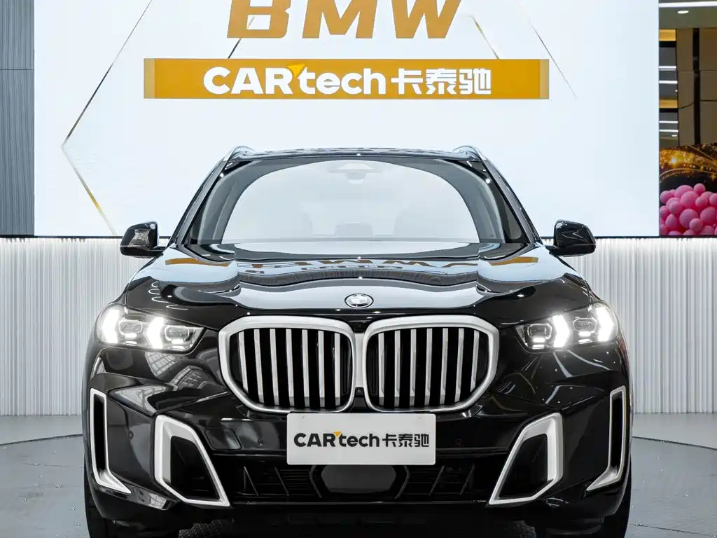 BMW X5 — миниатюра 2