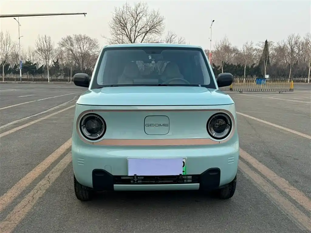 GEELY GALAXY PANDA