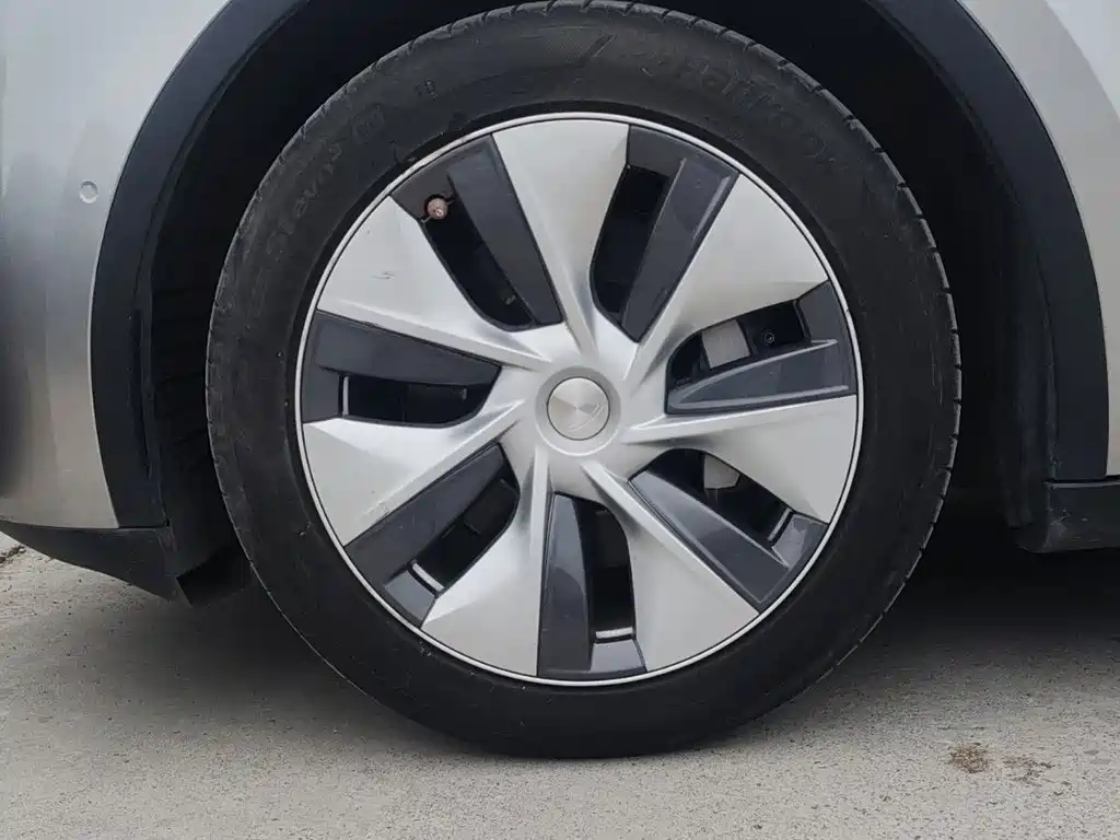 Tesla Model Y — миниатюра 14