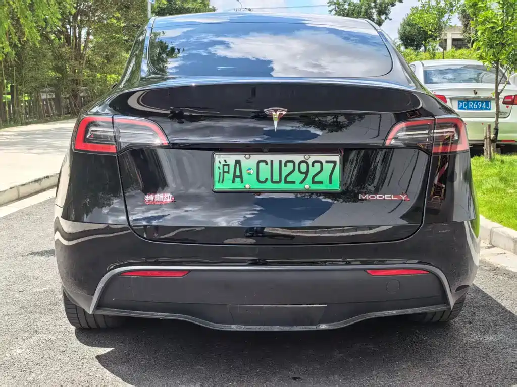 Tesla Model Y — миниатюра 7