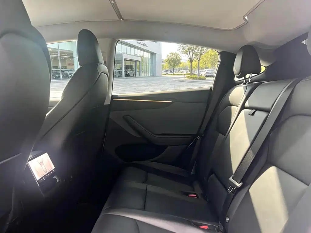 Tesla Model Y — миниатюра 4