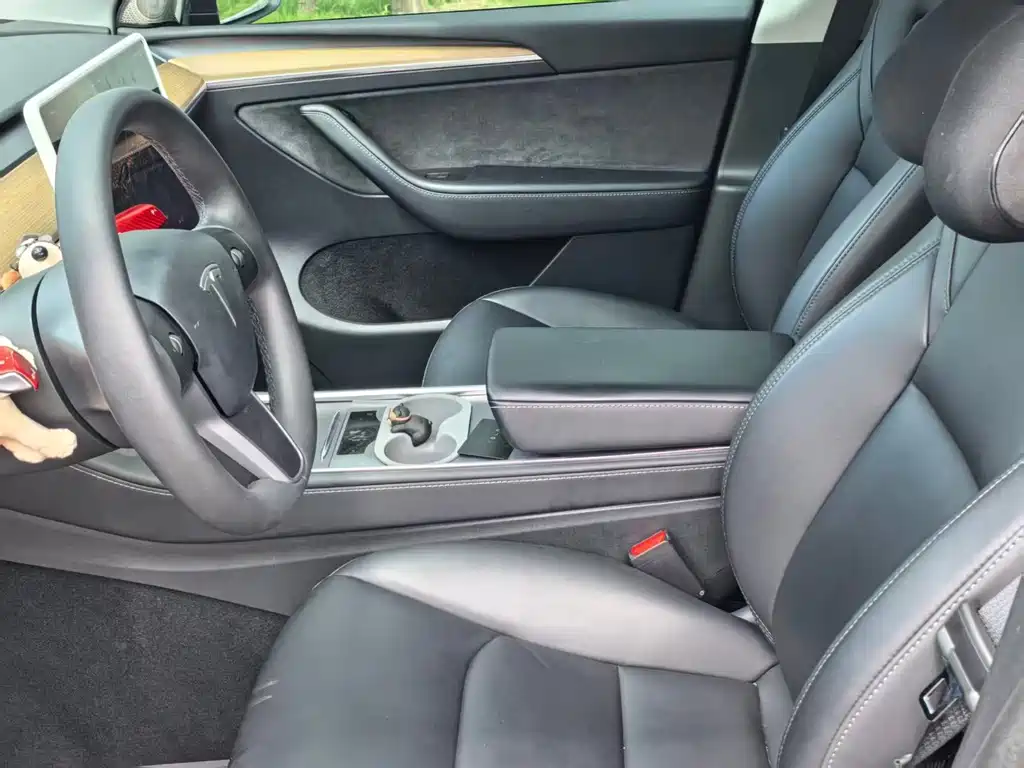 Tesla Model Y — миниатюра 2