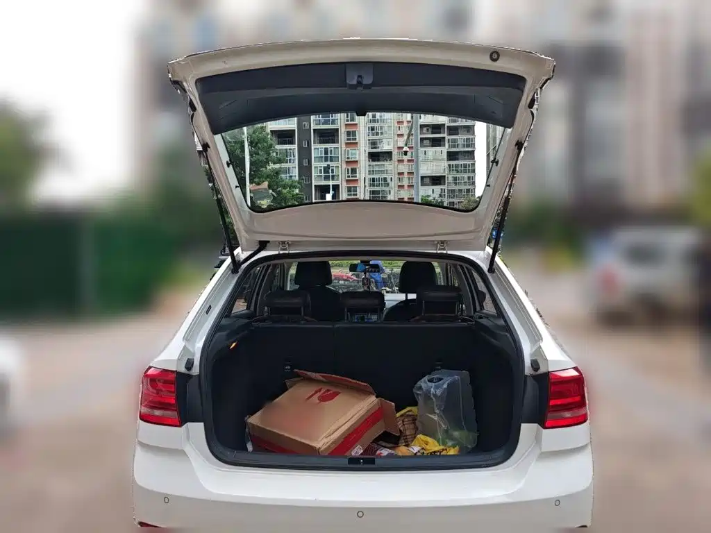 Volkswagen Santana — миниатюра 10