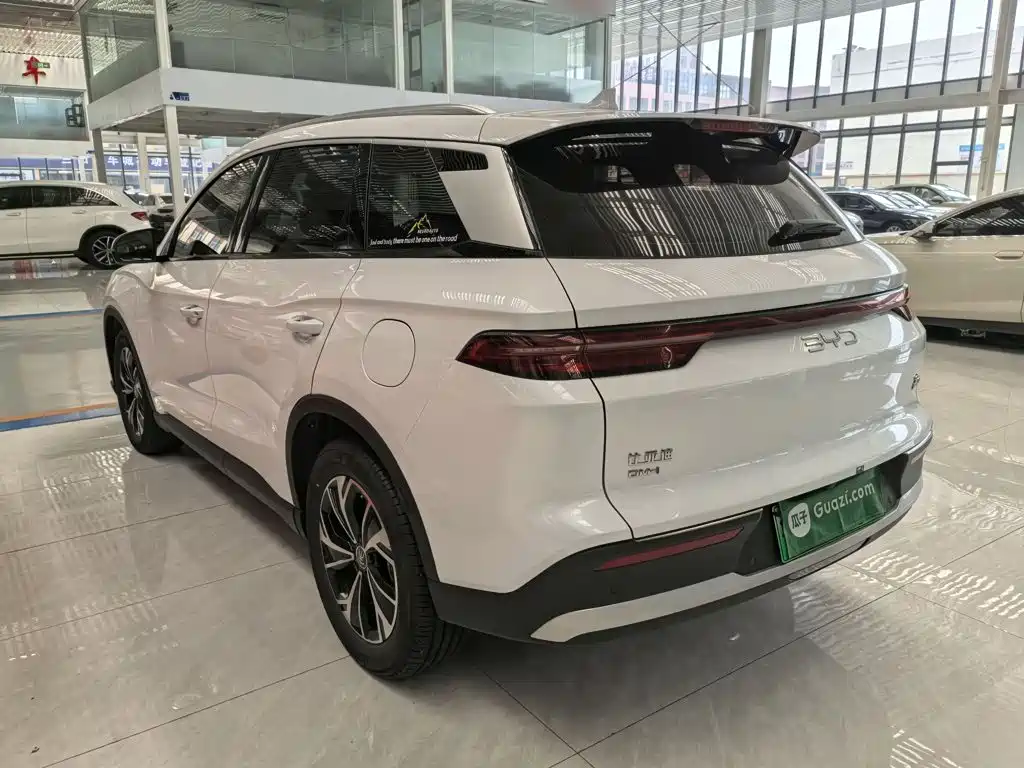 BYD Pro New Energy — миниатюра 5