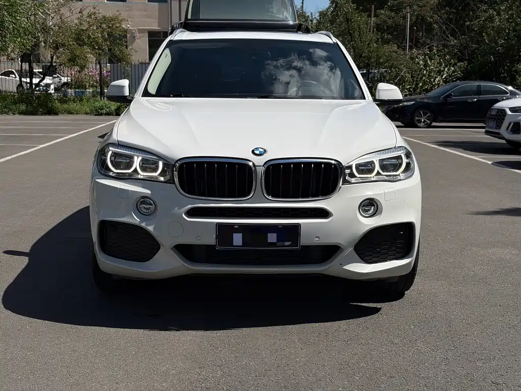 BMW X5 (Import) — миниатюра 2