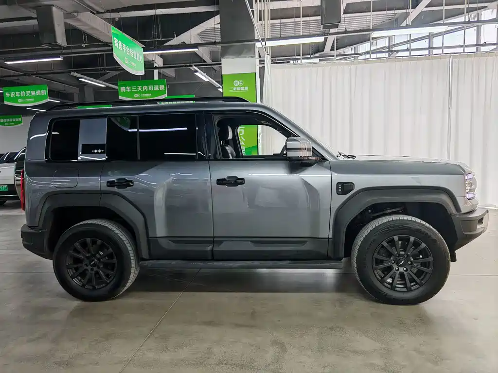 Fang Cheng Bao Leopard 5 — миниатюра 7