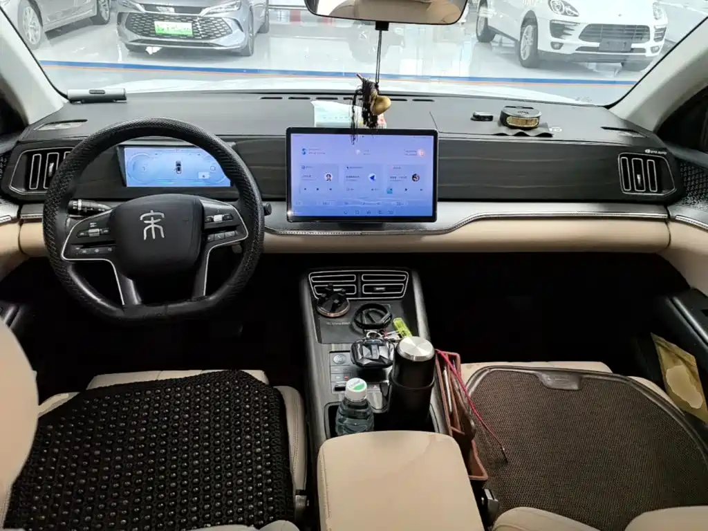 BYD Pro New Energy — миниатюра 10