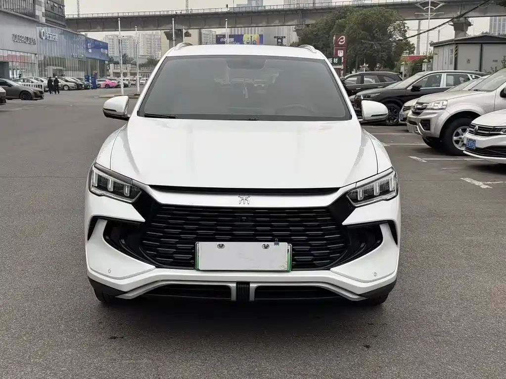 BYD Pro New Energy — миниатюра 2