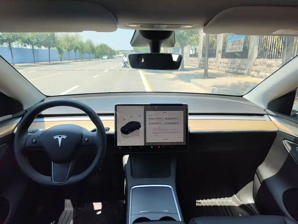 Tesla Model Y — миниатюра 5