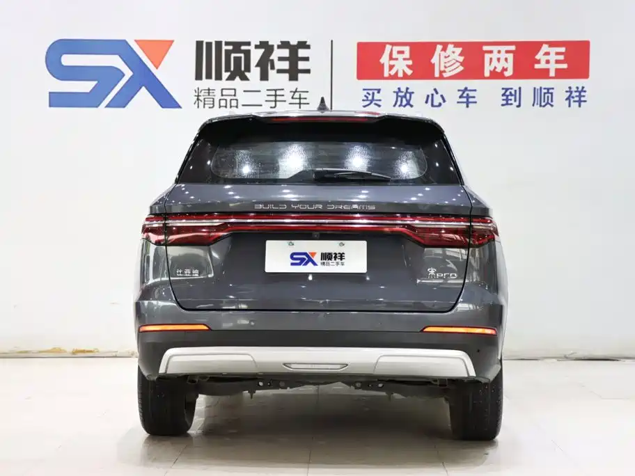 BYD Pro — миниатюра 5