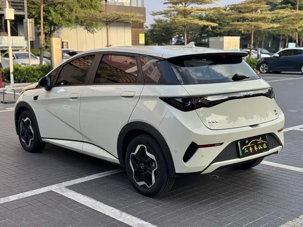 BYD Dolphin — миниатюра 17