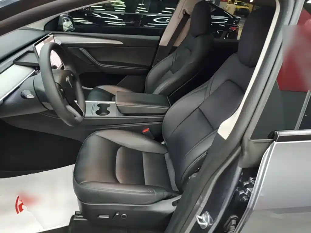 Tesla Model Y — миниатюра 15