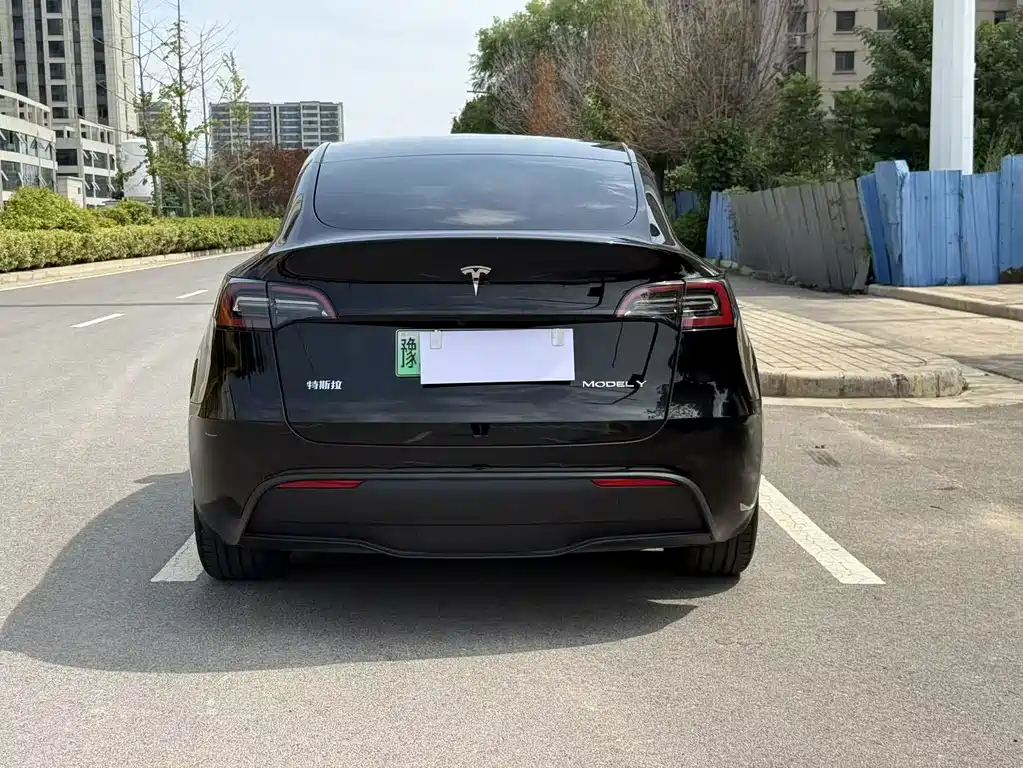 Tesla Model Y — миниатюра 9
