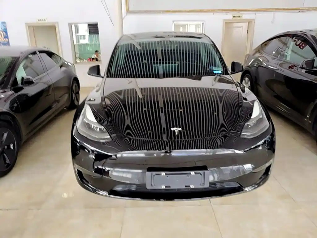 Tesla Model Y — миниатюра 3