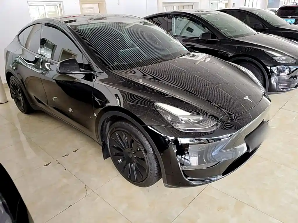 Tesla Model Y — миниатюра 4