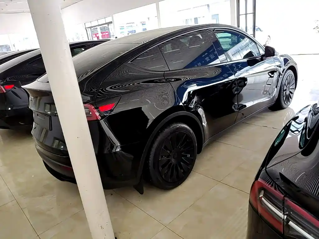 Tesla Model Y — миниатюра 7
