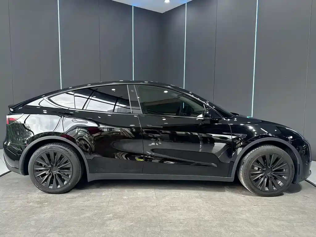 Tesla Model Y — миниатюра 5