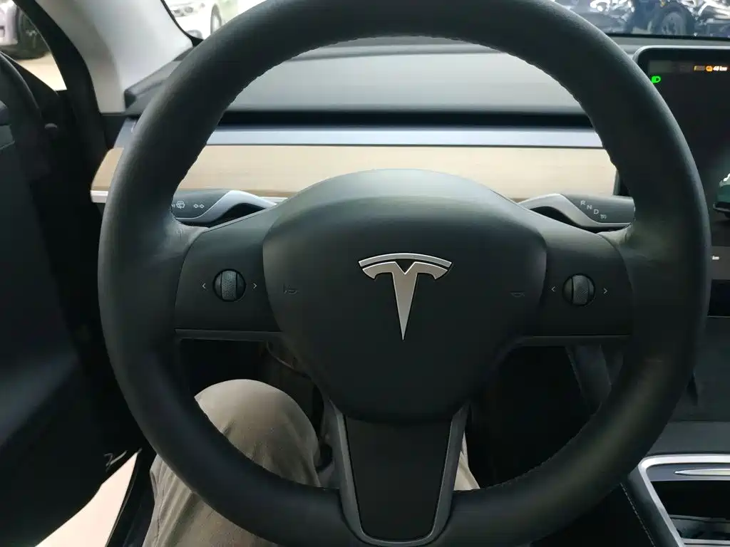 Tesla Model Y — миниатюра 11