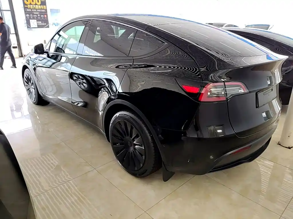 Tesla Model Y — миниатюра 5