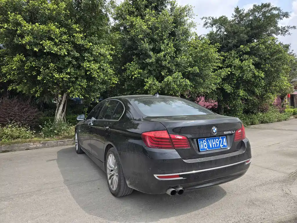 BMW 5 Series 5 2014 525Li