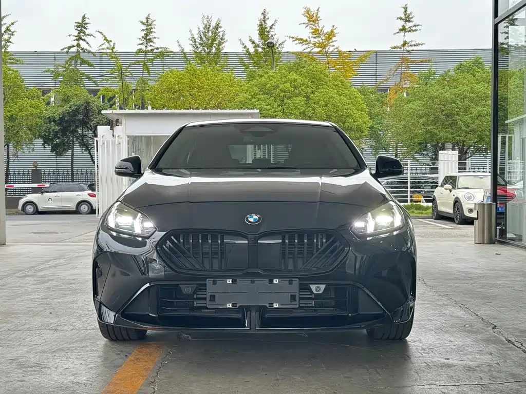 BMW 2 Series — миниатюра 2