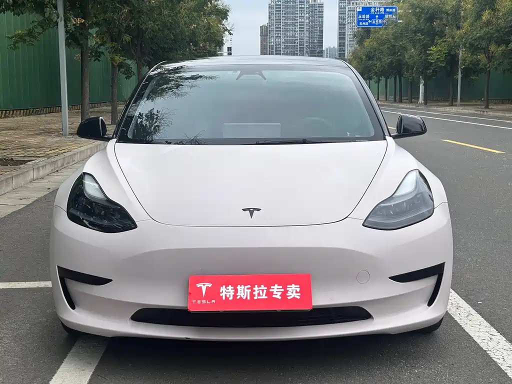 Tesla Model 3 — миниатюра 2