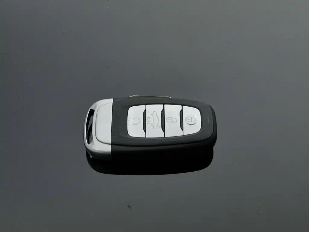 Hongqi Hongqi H9 — миниатюра 19