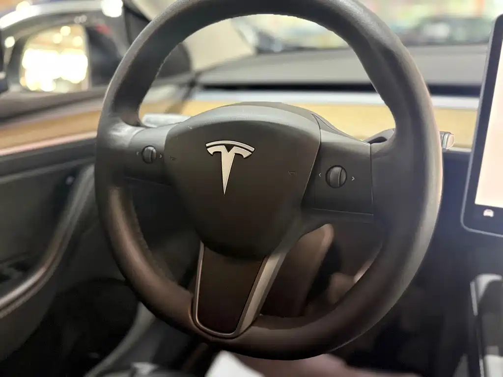Tesla Model Y — миниатюра 12