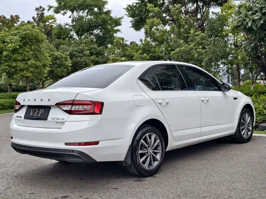 Skoda Octavia — миниатюра 19