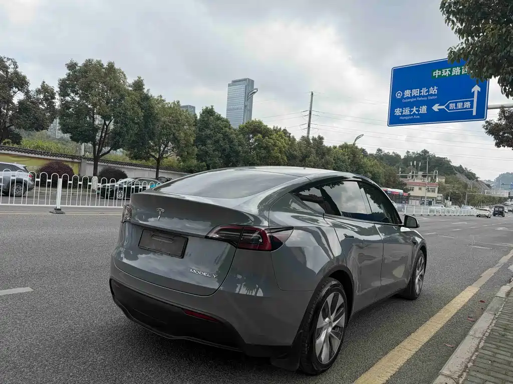 Tesla Model Y — миниатюра 4