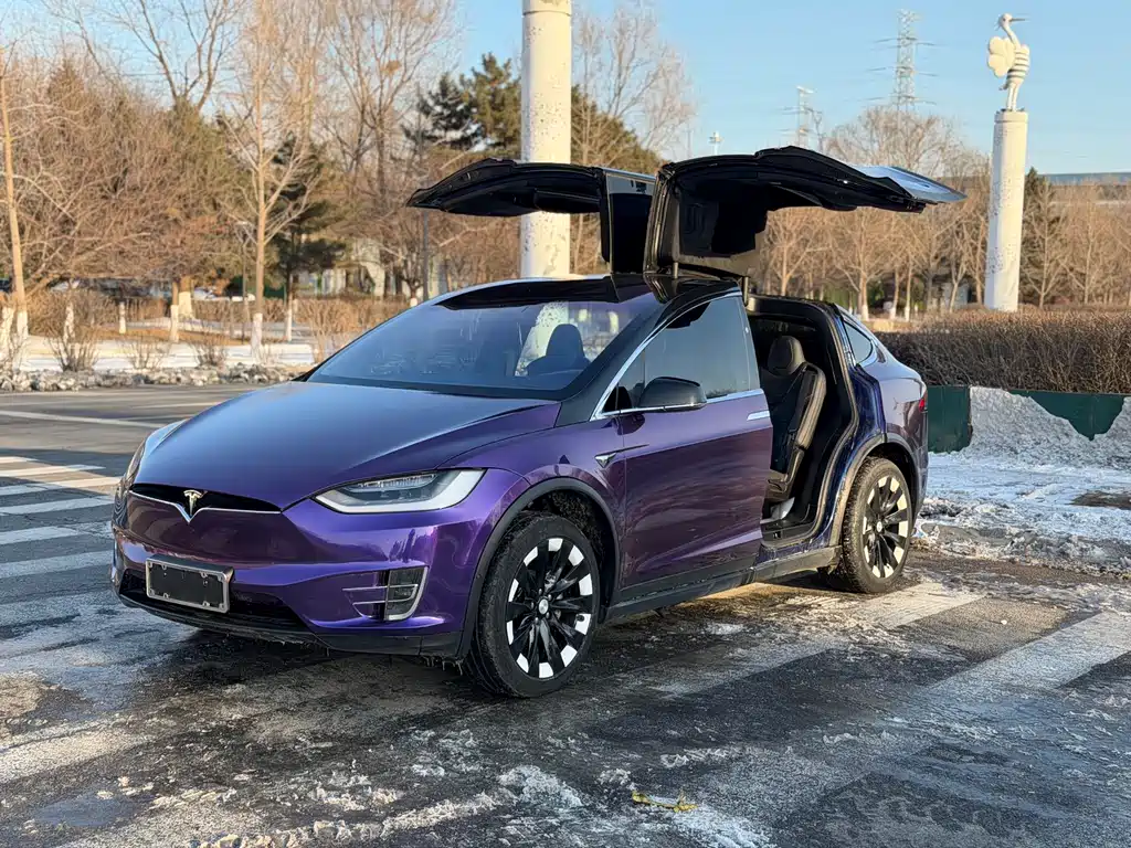 TESLA MODEL X
