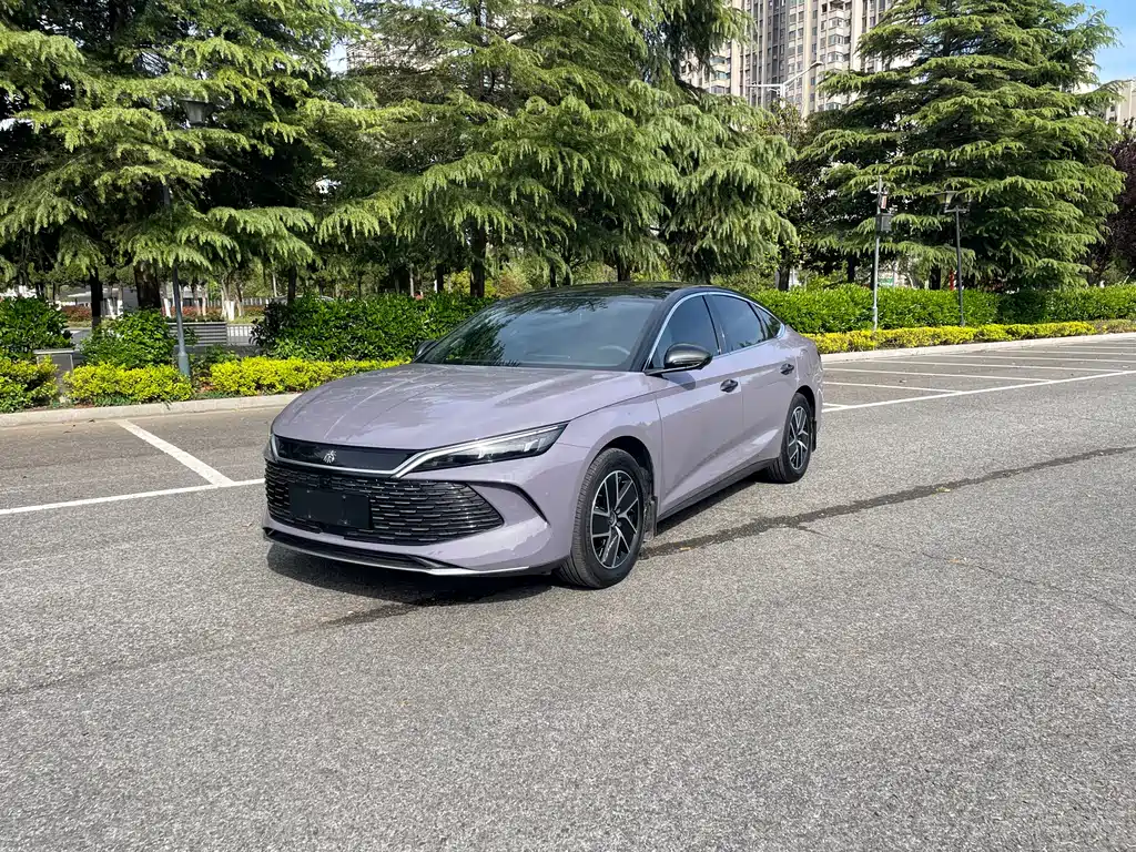 Byd Qin L 2025