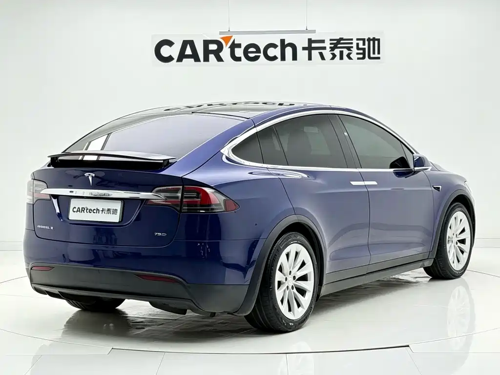 Tesla Model X — миниатюра 6