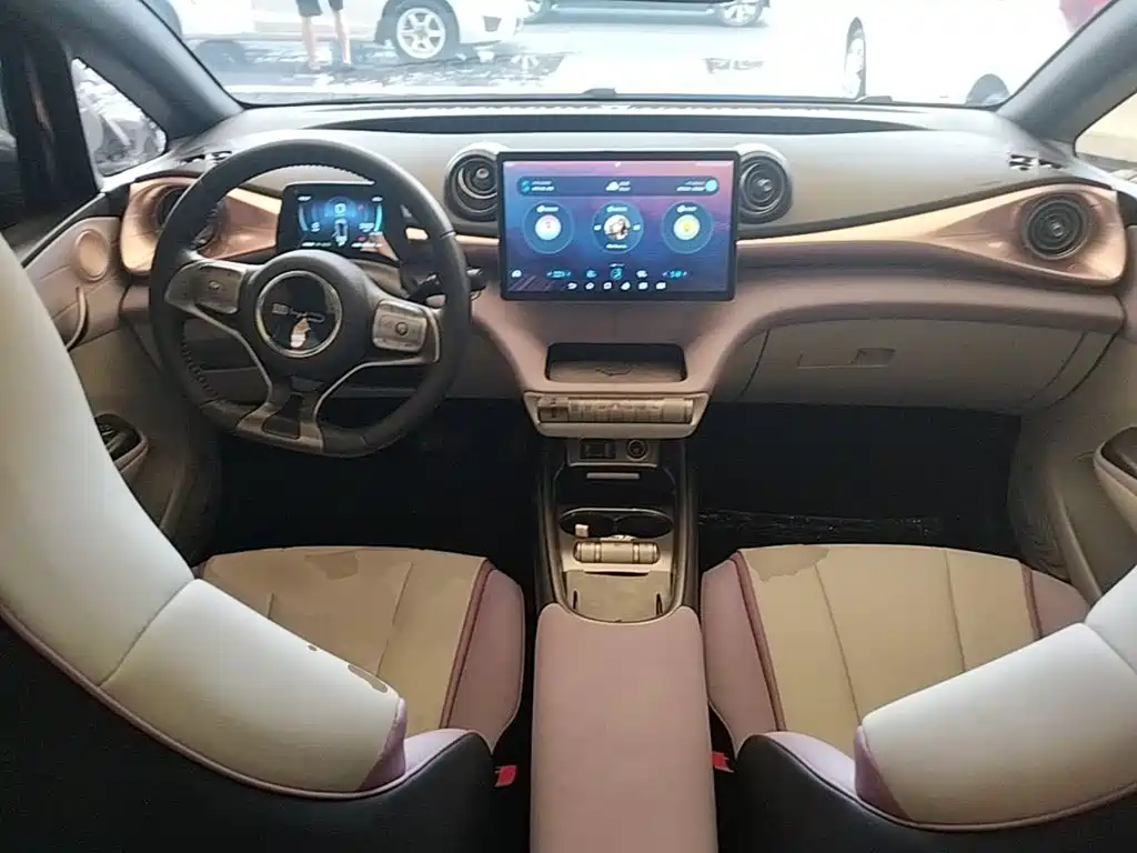 BYD Dolphin — миниатюра 10
