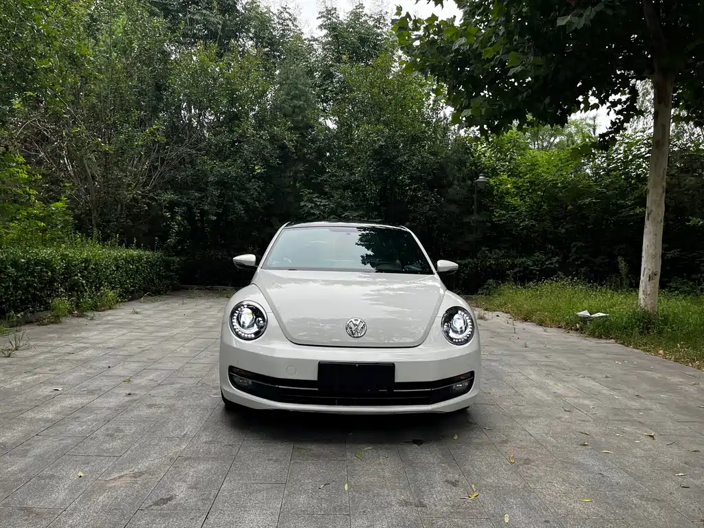 Volkswagen Beetle — миниатюра 6