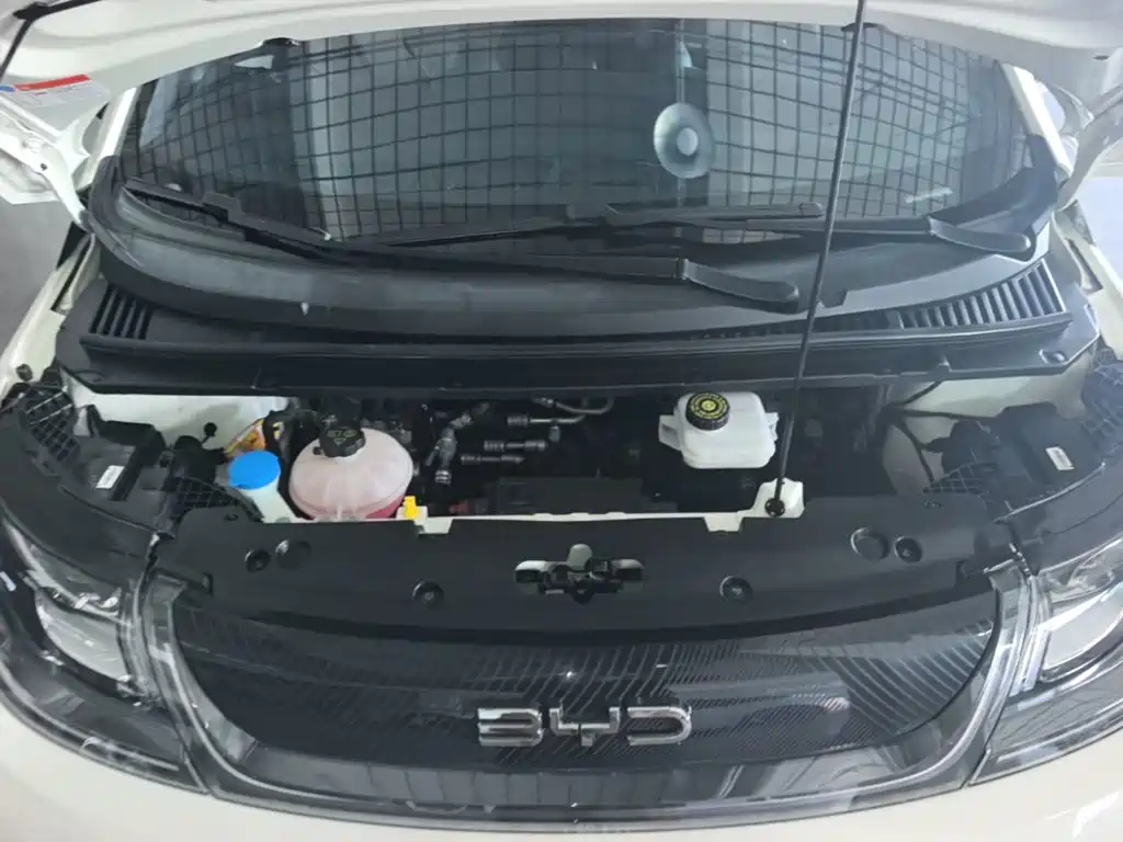 BYD Dolphin — миниатюра 20