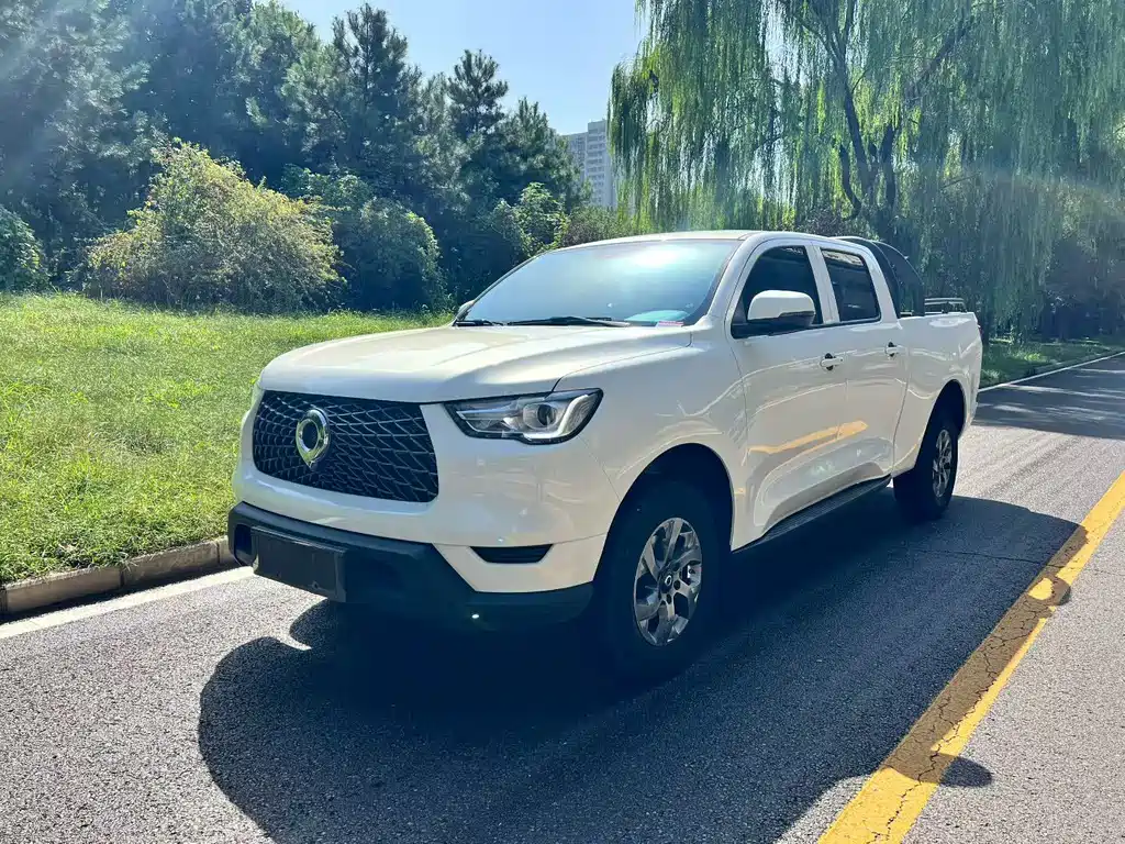 Great Wall Pao — миниатюра 3
