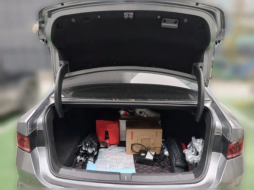 BYD Qin PLUS — миниатюра 15