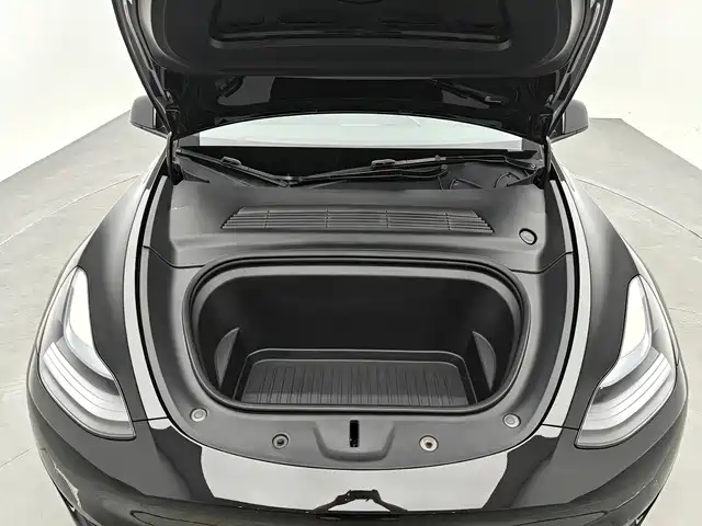 Tesla Model Y — миниатюра 12