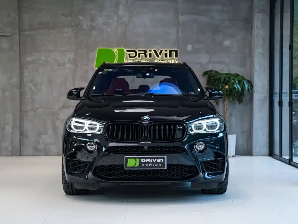 BMW X5 M — миниатюра 3