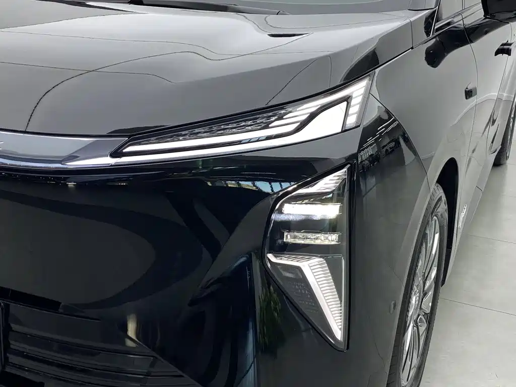 Buick Electra Encasa — миниатюра 5