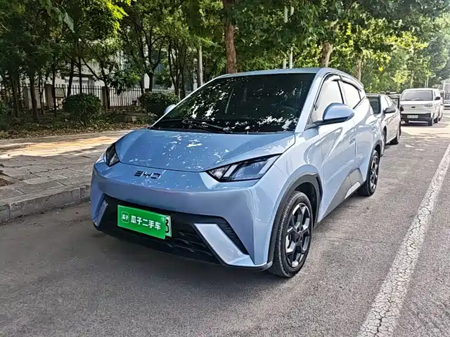 BYD Seagull